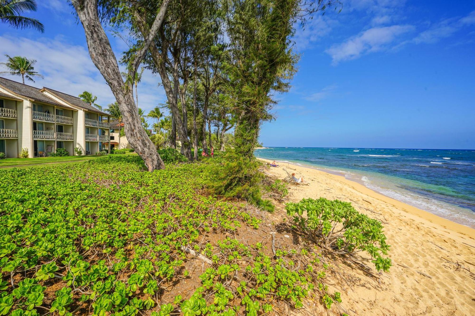 Islander On The Beach Kapa'a Pokoj fotografie